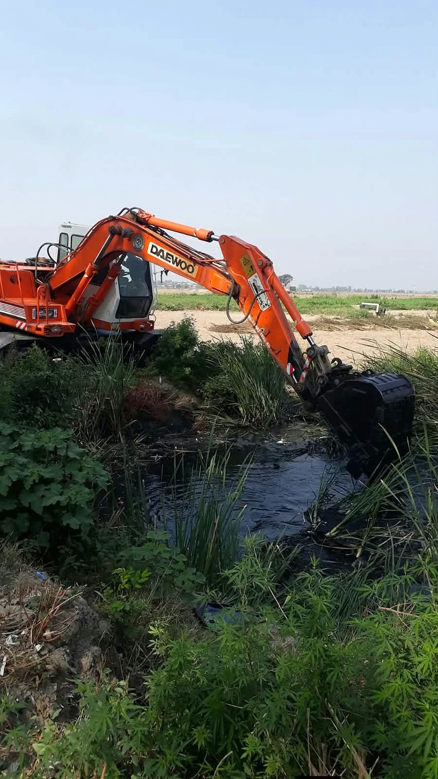 An excavator working beside a channel surrounded by tall vegetation.